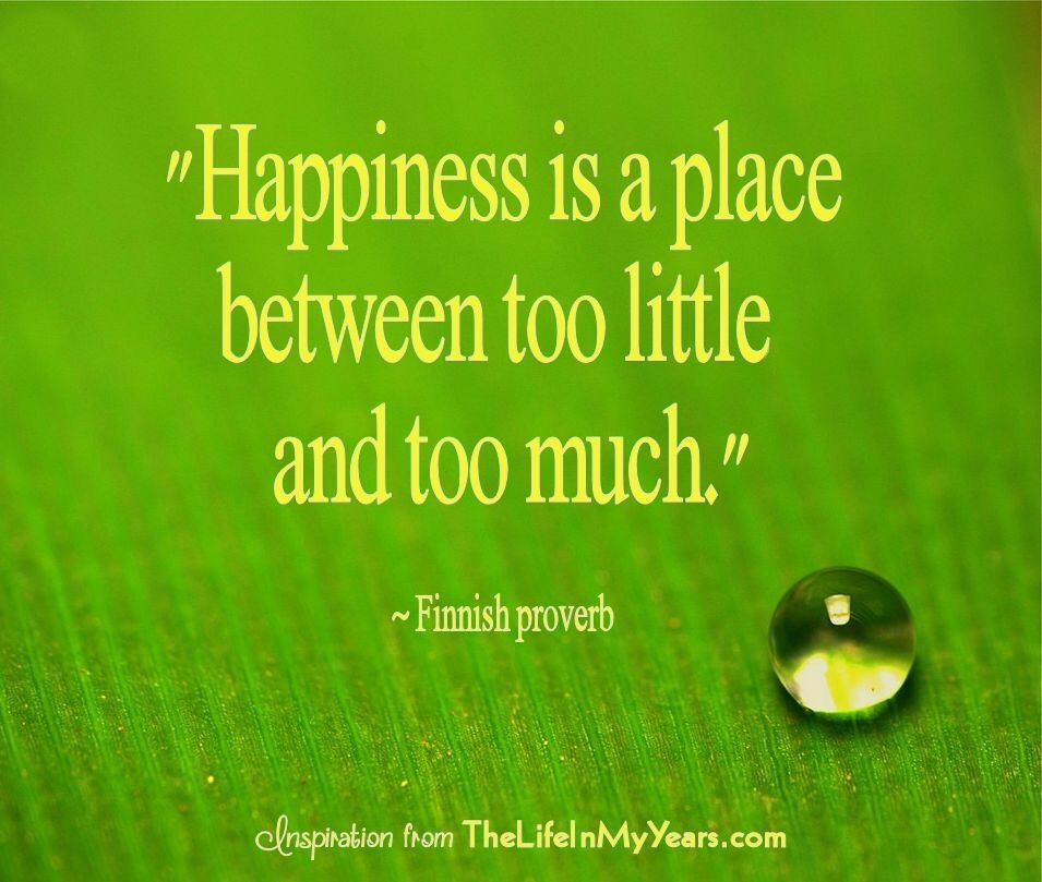 Happiness is a place betweentoo little and too much!